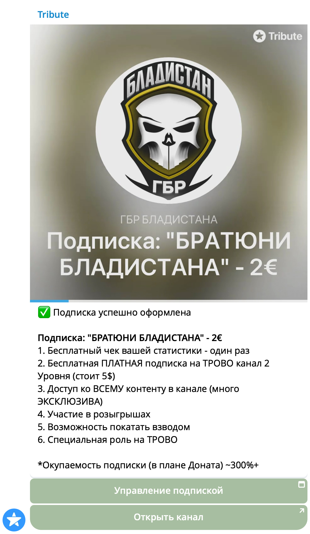 Скрин оплаты Tribute